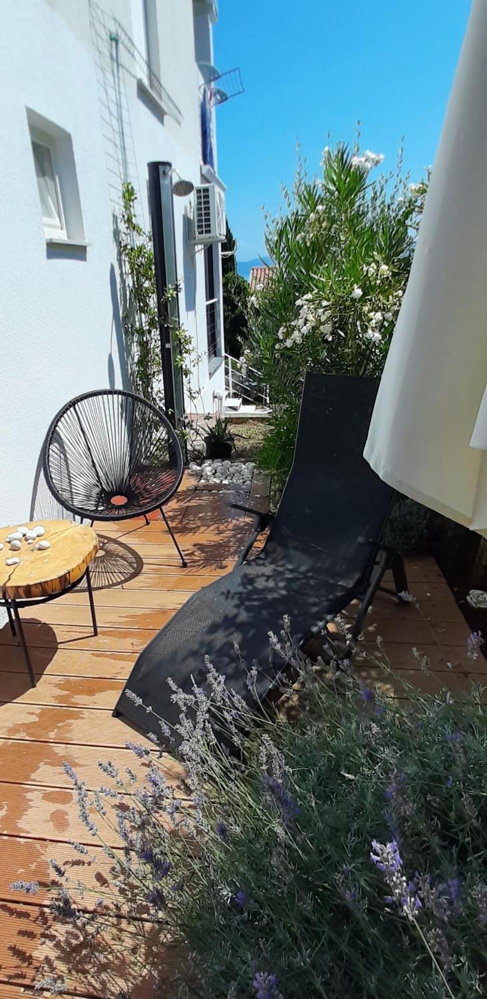 Lavandula Labin  Extérieur photo